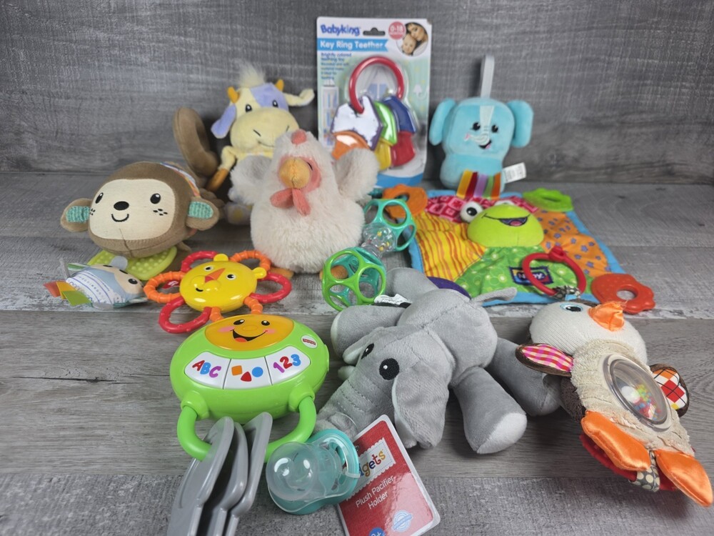Baby Toy Lot Developmental Sensory Daycare Toy Lot Toy Bundle 11 Toys g11